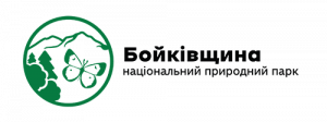 site logo